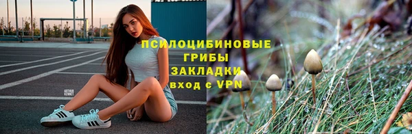 ALPHA-PVP Армянск