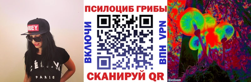 цена наркотик  Борисоглебск  Псилоцибиновые грибы Cubensis 